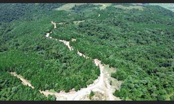 Imagem 7: Fazenda à Venda 488,86 hectares Aptidão para Reflorestamento em Rio do Campo SC