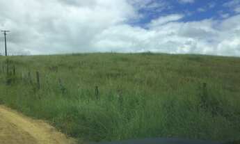 Imagem: FAZENDA EM SÃO FELIPE-BA