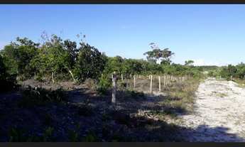 Imagem 3: Venda de terreno Praia dos Garcez/ Jaguaripe/BA