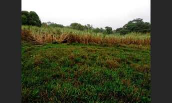 Imagem: Fazenda de 25 ha em Itaguara