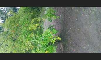 Imagem 5: Mine sítio Fazenda / sítio com 2 dormitórios