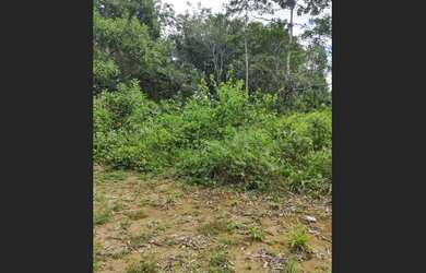 Imagem 8: Vendo terreno condomínio Itaporanga 3, ponta negra Manaus, Am