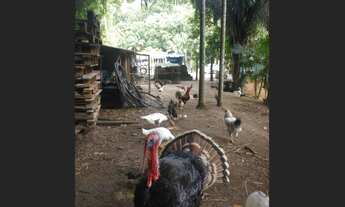 Imagem 2: Contrato Chácara com 1 dormitório