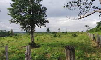 Imagem 7: R$8 milhões fazenda com 200 alqueires com 154 alqueires de pasto