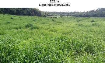 Imagem 7: Fazenda de 200 h em Teresina-Pi