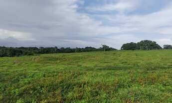 Imagem 5: R$8 milhões fazenda com 200 alqueires com 154 alqueires de pasto