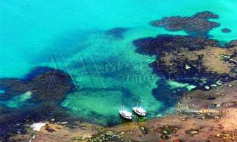 Imagem 5: Terreno na Praia de Pirangi, Murado, rua pavimentada. 500m²