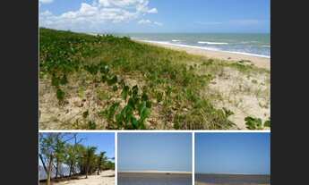 Imagem 2: Excelente oportunidade 900m2 em frente à praia na Bahia