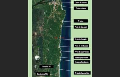 Imagem 4: Terreno em meio a Mata Atlântica