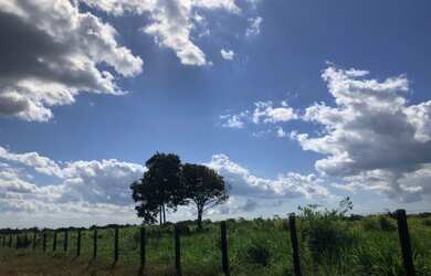 Imagem 5: R$780 MIL fazenda pronta com 175 hectares