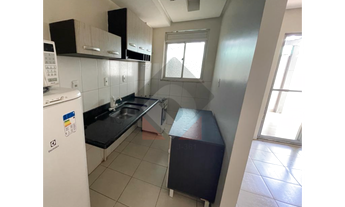 Imagem 4: Aluga-se Apartamento