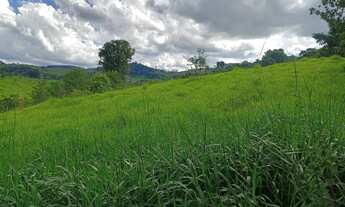 Imagem 2: Terreno de 60 há em Oliveira MG