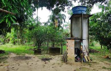 Imagem 6: Sítio 14,29 hectares com açaizal de 18 mil pés por R$300 mil