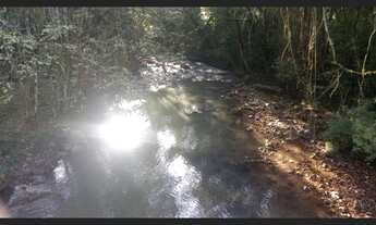 Imagem 5: Excelente Área De Terras em Santa Maria Do Herval (40 Hectares