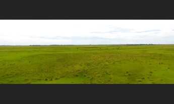 Imagem: Barbada FAZENDA 3.150 hectares localizada