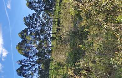 Imagem 3: Terreno de 20 há em São Tiago MG