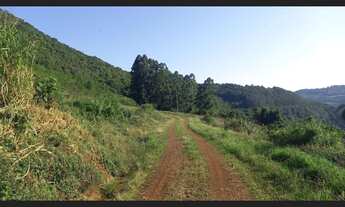 Imagem 3: Excelente Área De Terras em Santa Maria Do Herval (40 Hectares