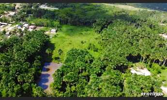 Imagem: Área para investimento, em Santarém-pará