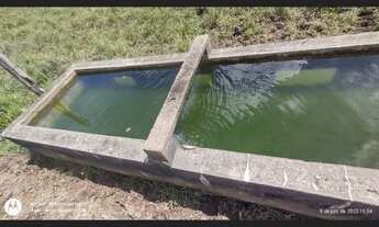 Imagem 4: 150 hectares fazendinha pronta documentada por R$3 milhões