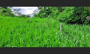 Imagem 3: Fazenda - à venda - 5.000ha- Sena Madureira-AC