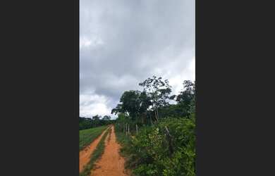 Imagem 3: Fazenda com 35 ha, Norte de Minas, possui documentação