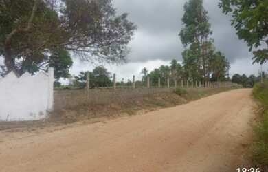 Imagem 6: Fazendinha Top !