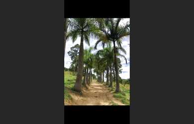 Imagem 3: Fazendinha de 18 há em Passa Tempo MG