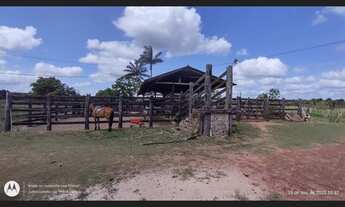 Imagem 4: 200 hectares pronta e documentada sentido Capanema
