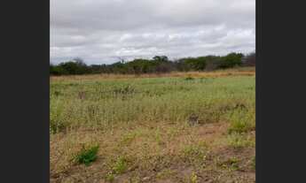 Imagem 2: Terreno plano de 7.400 m² em Capim Grosso