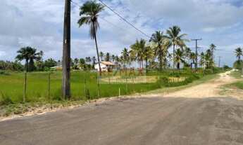 Imagem: Terreno plano, pé na areia com 20.000m²