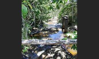 Imagem: Excelente Fazenda em Praia Do Forte