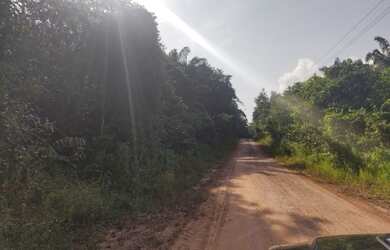 Imagem 4: Sítio com 72 hectares fica sentido Capanema por R$210 mil
