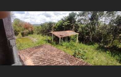 Imagem 12: Excelente fazenda para investimento