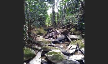 Imagem 5: Terreno em Pacaraima