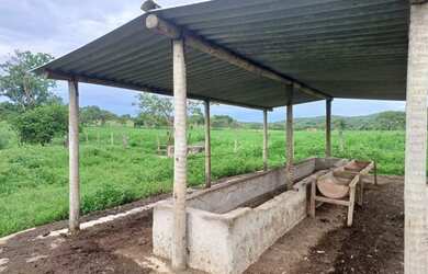 Imagem 3: Fazendinha de 14 há em Esmeraldas MG