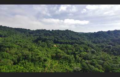 Imagem 3: Chácara à Venda em Juquitiba SP com 10.000 m2, casa e riacho aos fundos!