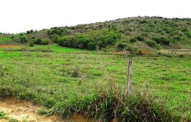 Imagem 3: Chacara 20mil metros com escritura