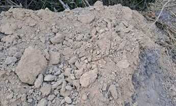 Imagem 6: 1.611 Alqs Bruta Safra e Safrinha Timom MA