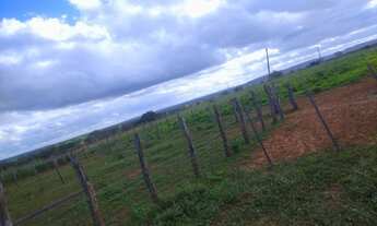 Imagem 6: Lindíssima chácara na cidade de Tucano