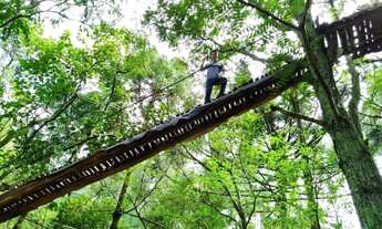 Imagem 2: Sítio Formigão Amarelo