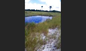 Imagem: Fazenda para Venda, Belmonte / BA