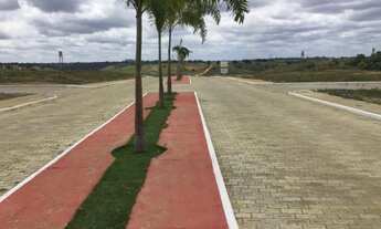 Imagem 2: Terreno Bosque das Palmeiras