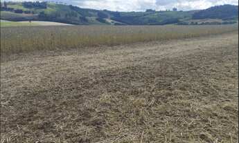 Imagem 3: FAZENDA À VENDA – PITANGA-PR