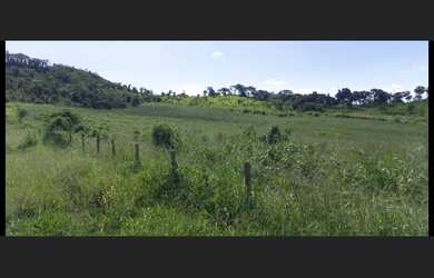 Imagem 7: Fazenda de 194 há em Carmopolis de Minas MG