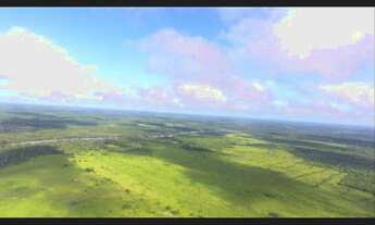 Imagem 6: Fazenda 340 alqueires porteira fechada no Pará documentada R$22 milhões