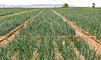 Imagem 4: HIPER FAZENDA NA BAHIA