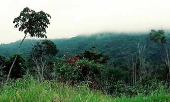 Imagem: Terreno em Pacaraima