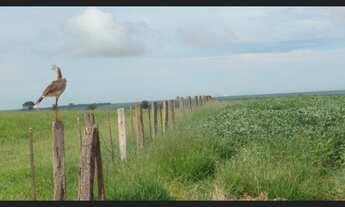 Imagem 2: Fazenda com 303 alq, dupla aptidao