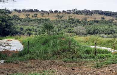 Imagem 8: Fazenda de 60 ha em Itapecerica MG