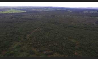Imagem 2: 292 Alqs Dupla Aptidão Beira Rodovia Região São Valério TO